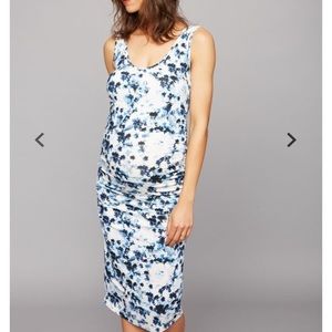 Pea in Pod Isabella Oliver Maternity Dress